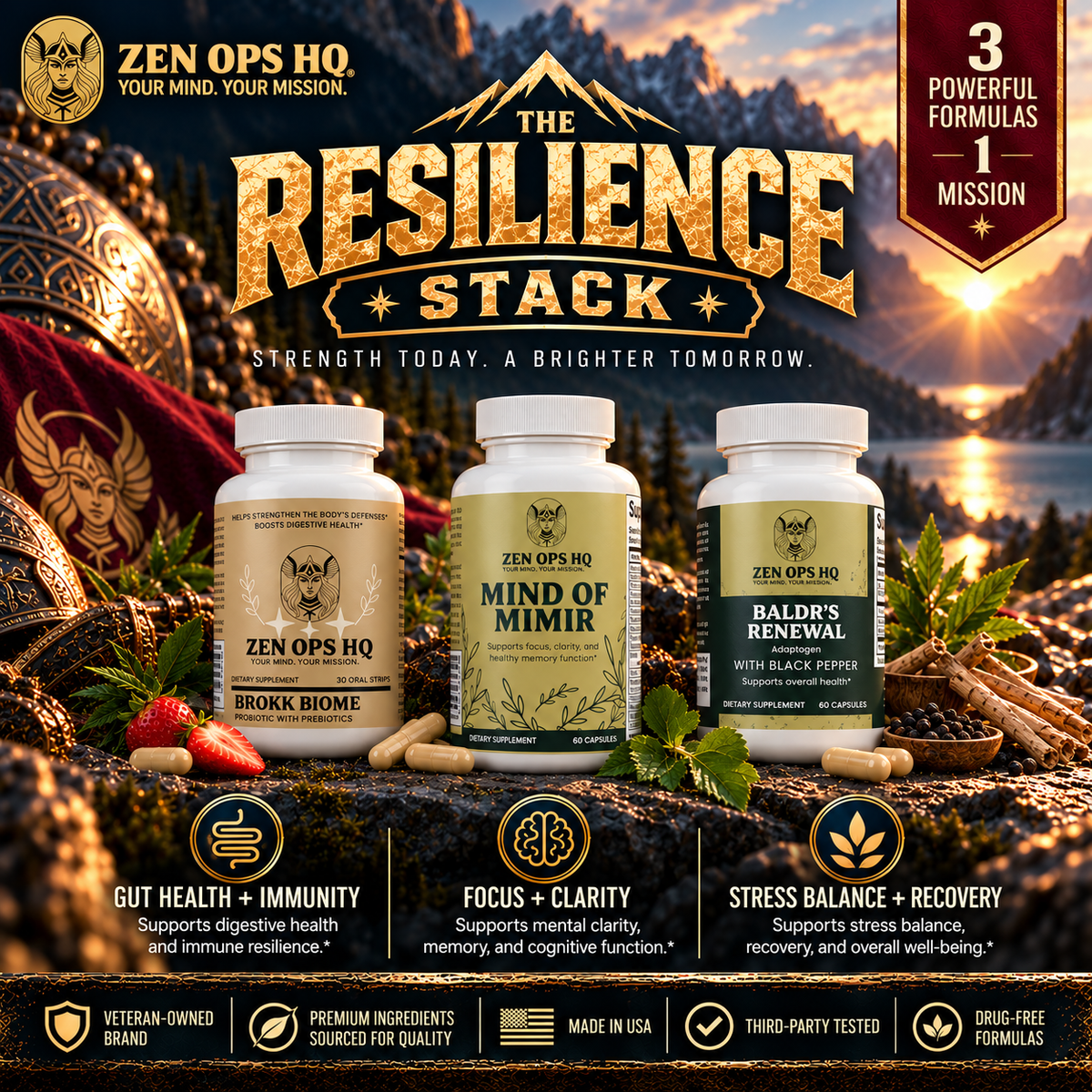 The Resilience Stack