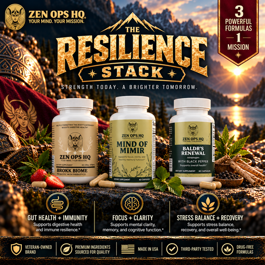 The Resilience Stack